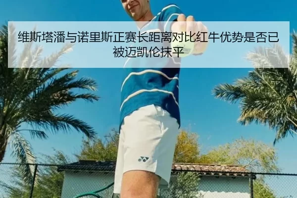 维斯塔潘与诺里斯正赛长距离对比红牛优势是否已被迈凯伦抹平
